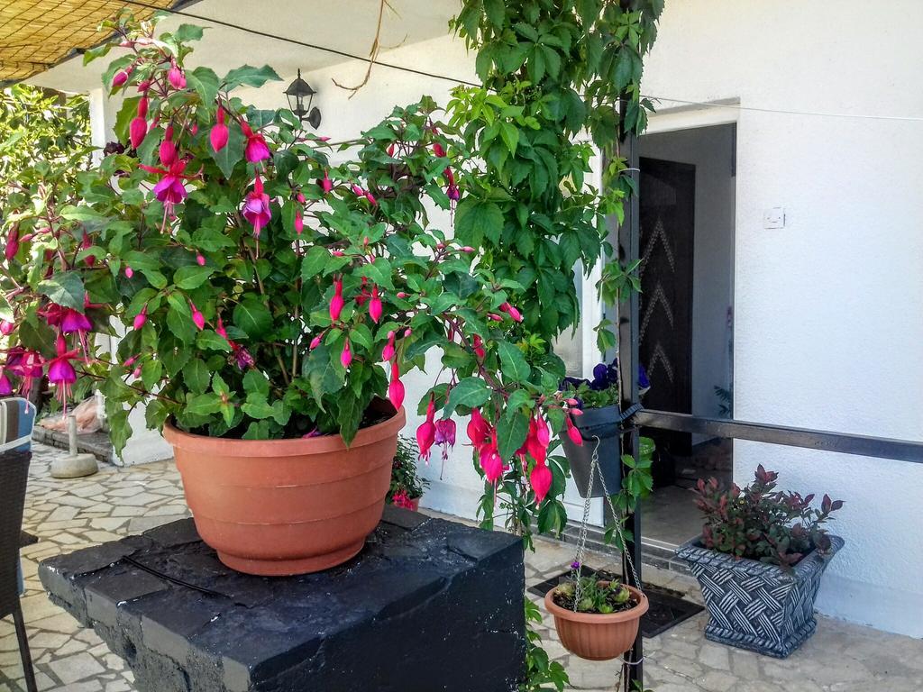 Apartment Little Princess Dora Senj  Ngoại thất bức ảnh
