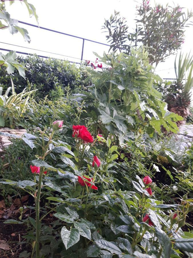 Apartment Little Princess Dora Senj  Ngoại thất bức ảnh